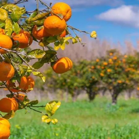 Apartament #098 Casa Antonieta 3 By Holidays *