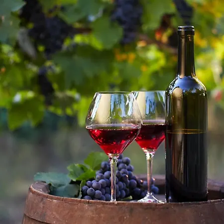 Apartament #098 Casa Antonieta 3 By Holidays