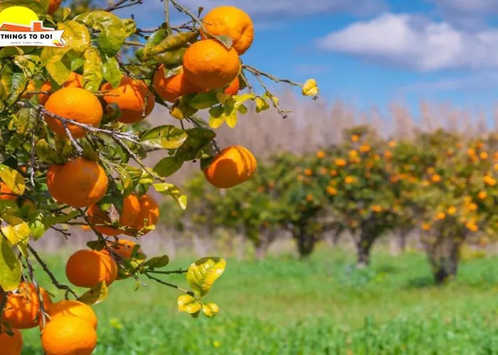 Apartamento #098 Casa Antonieta 3 By Holidays *